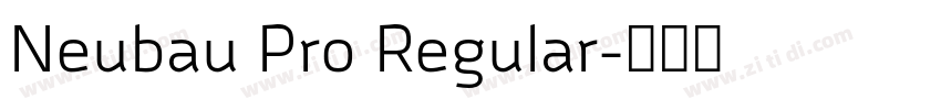 Neubau Pro Regular字体转换